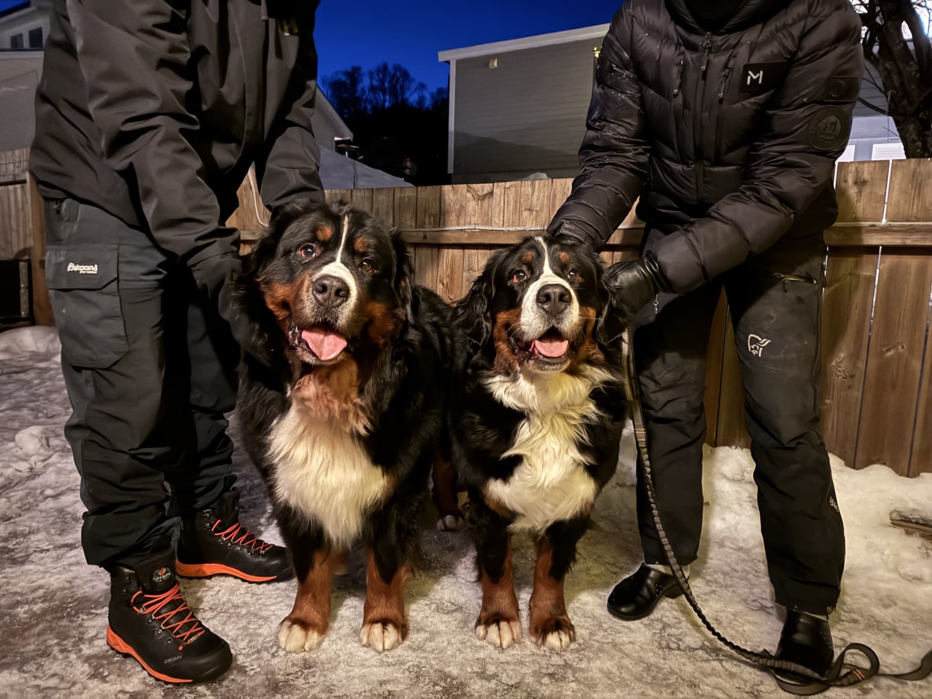 Kennel Solbergnes